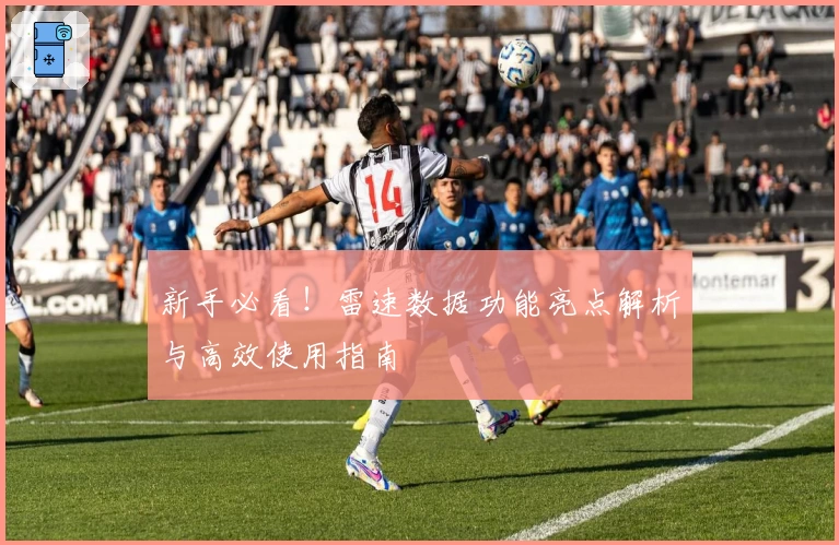 新手必看！雷速数据功能亮点解析与高效使用指南