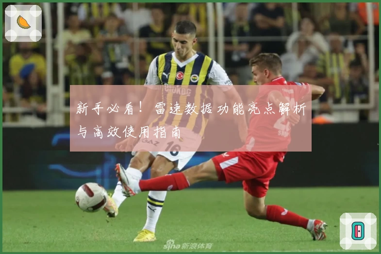 新手必看！雷速数据功能亮点解析与高效使用指南